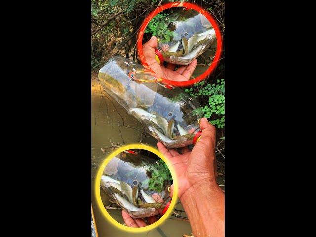 DIY Tools Fishing By Bottle | Crazy Tools  Fishing Part #06