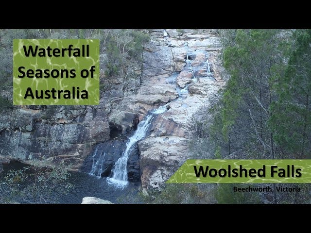 Sitting right next to Woolshed Falls near Beechworth in Victoria, Australia