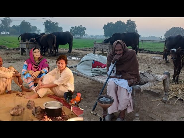 The Real Rural Life Pakistan 🇵🇰 In Winter Fog December 2023 | Unseen Village Culture