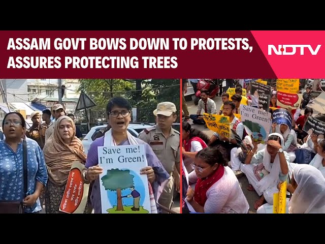 Assam News | Assam Government Bows Down To Protests, Assures Alternative To Felling Trees