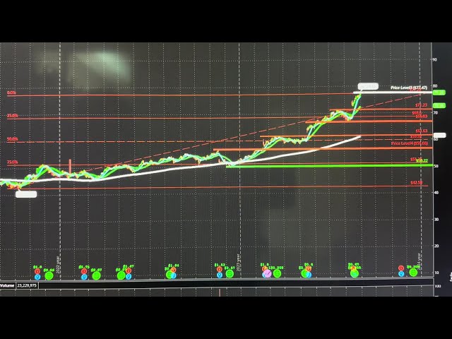 Walmart (WMT) Support and Resistance August 2024  #wmt #trading #investing #dividendstocks