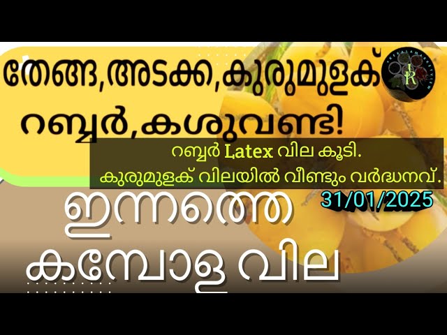 "കാപ്പി വില വർധിച്ചു! | Rubber latex prices rise in Kerala