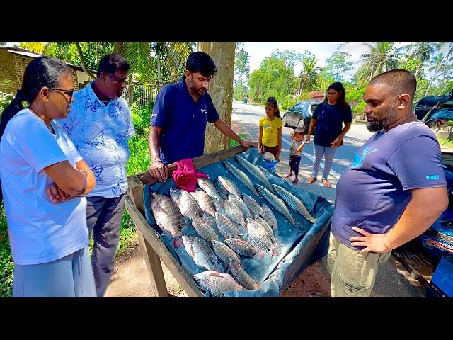 Amazing! A Day In the Life Of a Village Fishmonger's Fresh Fish Market