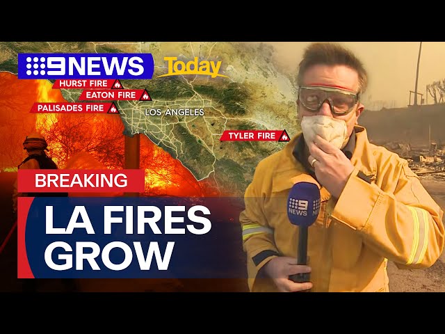 LA fires update: Wildfires cause $100 billion of utter devastation | 9 News Australia