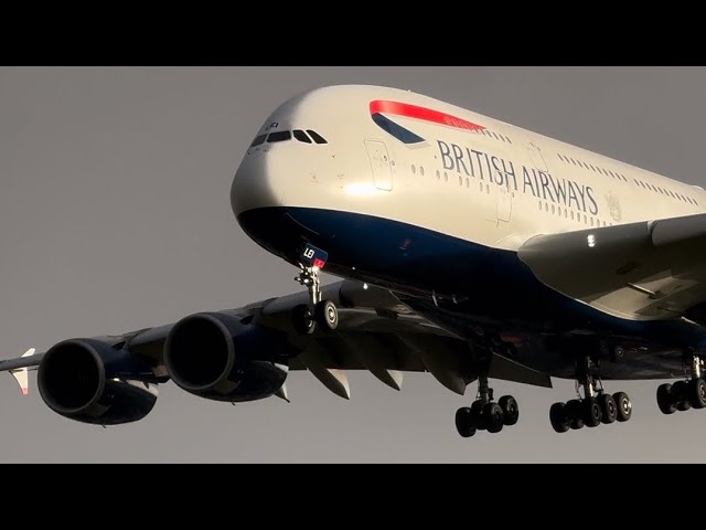 Arrivals | Gusting winds pt.2 #aviation #planespotting #aviationlovers