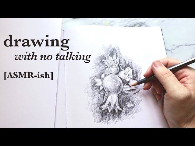 drawing pomegranate blooms & fruit [asmr-ish] extended version with no talking & no music