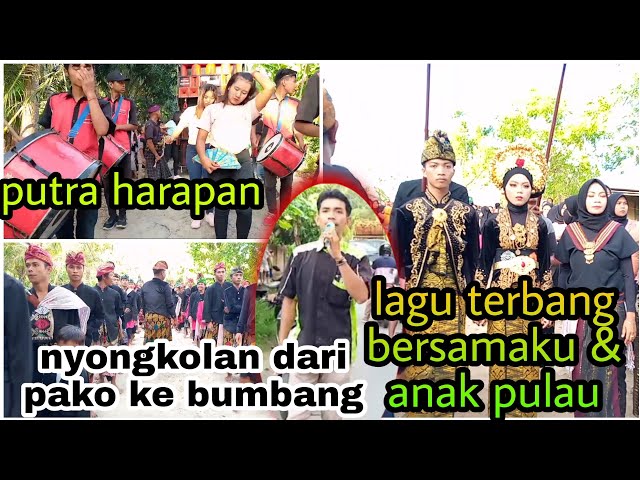 nyongkolan dari pako ke bumbang bareng putra harapan || lagu terbang bersamaku || anak pulau