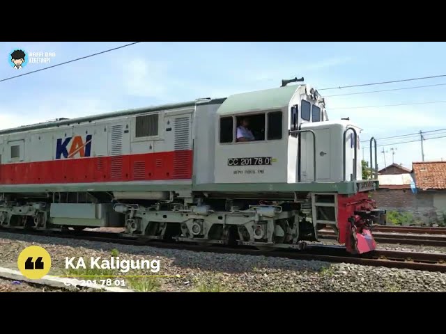 MOMEN SERU !!! Hunting KeretaAPI Di PJL 215 dan PJL 213 Kota Tegal