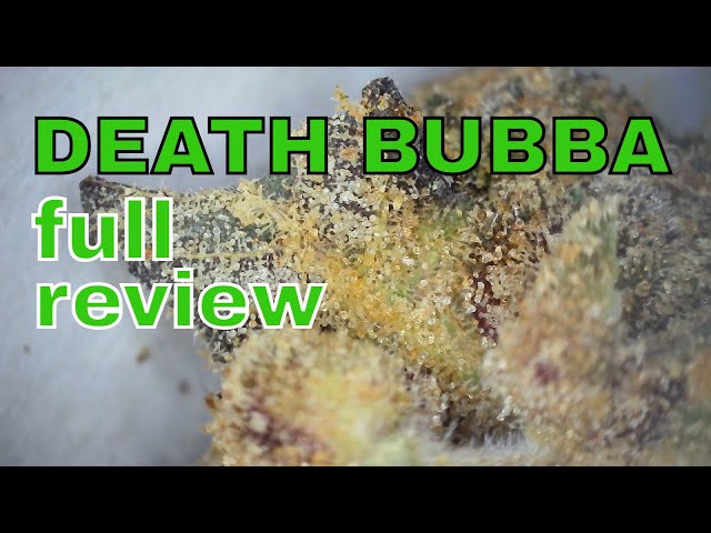 D. BUBBA | FAAFO & 4C Labs | FULL REVIEW