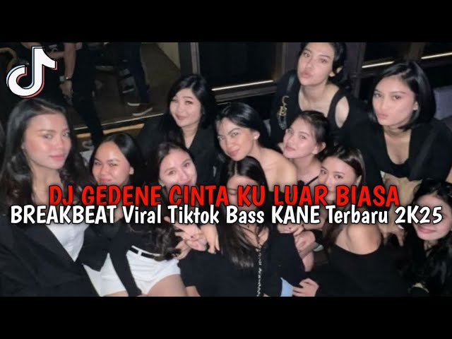 DJ GEDENE CINTA KU LUAR BIASA NDX AKA | BREAKBEAT VIRAL TIKTOK BASS BETON TERBARU 2K25