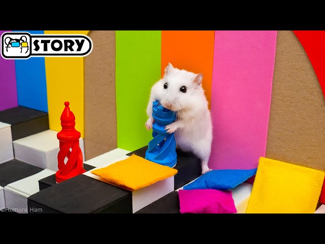 🐹 Hamster in the Awesome Circus Maze - Shorts 🐹 Homura Ham Pets