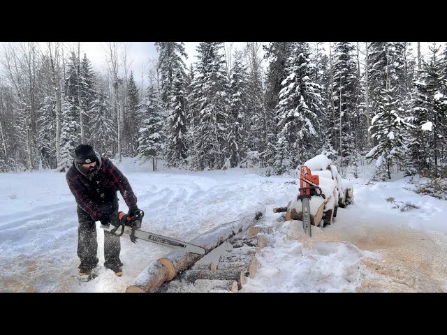 Pine snag turns into firewood: A Chainsaw Adventure with Milwaukee, Stihl and Husqvarna!