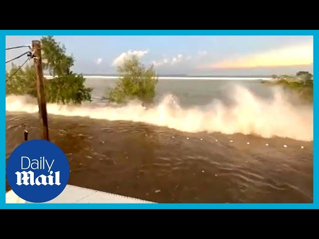 Tonga tsunami: Powerful moment tidal wave hits the Pacific island