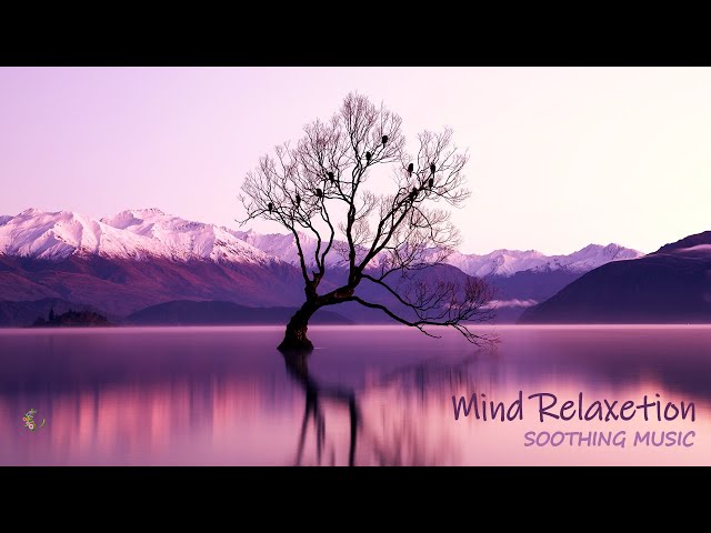 Relaxing Piano Music with Nature View, Deep Sleeping Music - Meditation Music