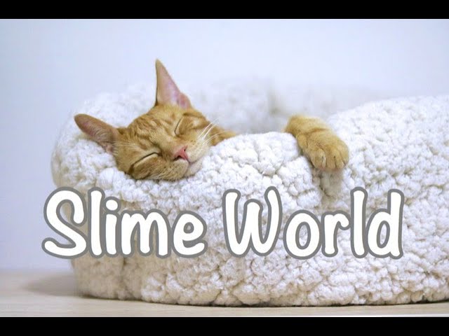 Fun Bedtime Story For Kids | Heidi, Cherry & Vaya Go To Slime World