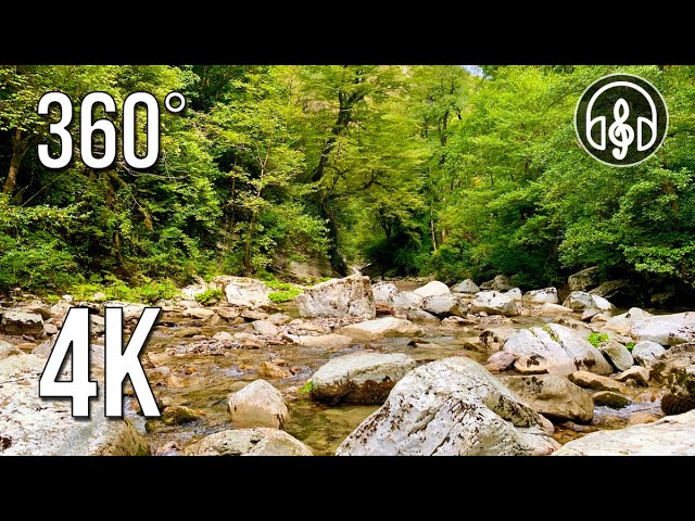 Mountain River Virtual Reality. Soothing Nature in 360 VR Degrees 4K Video 30 FPS.