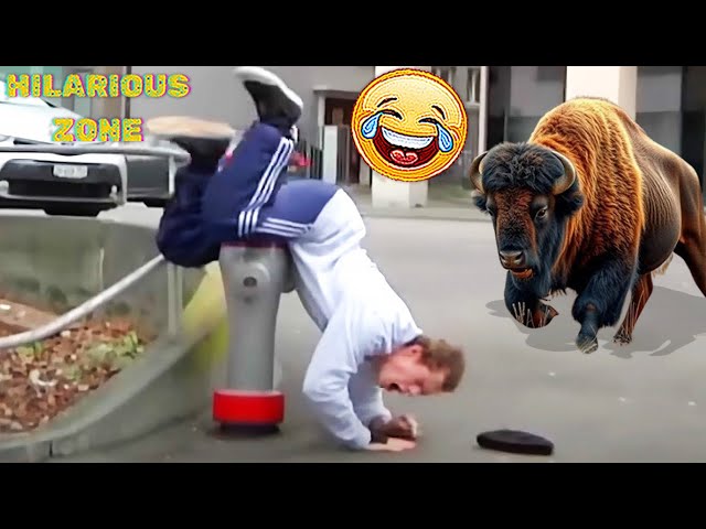 Funny & Hilarious People Life 😆 #126 | TRY NOT TO LAUGH 😂😁😆 | Instant Regret Fails Compilation 2025