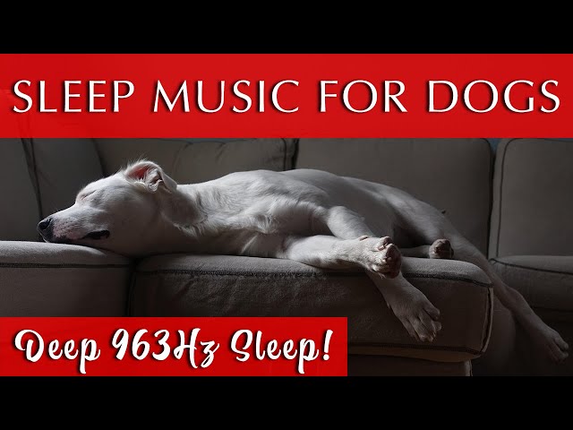 Sleep Music for Dogs Black Screen | DEEP SLEEP!