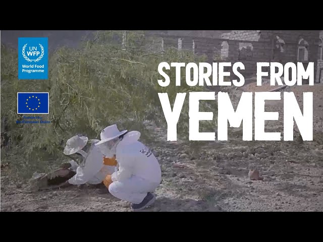 Stories from Yemen: Abu Bakr the Beekeeper