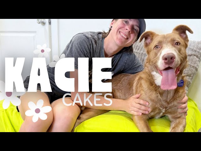 Kacie Cakes the sweetest pup