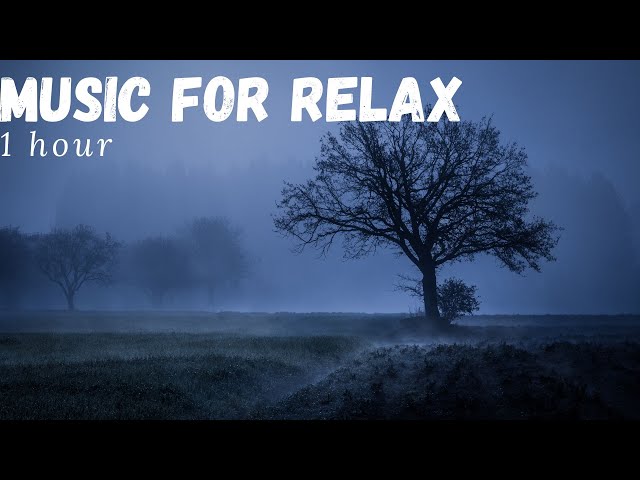 1 hour of beautiful relaxing music for sleep and meditation