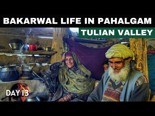 Ep-13 Bakarwal Life Never Seen Before | Kashmiri Tribal Life | Tulian Valley Pahalgam | Kashmir Tour