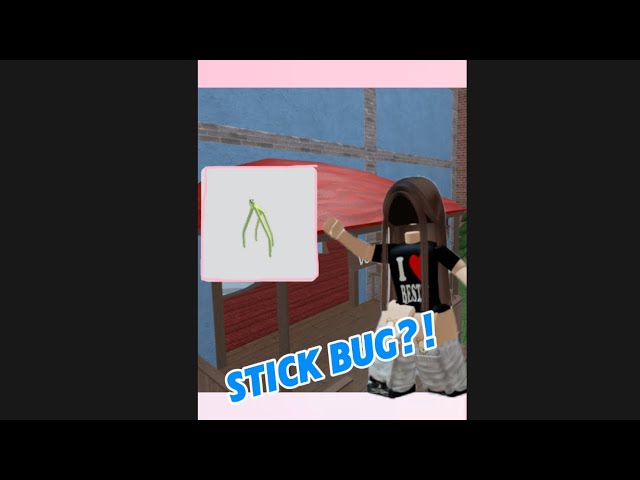 I dressed up as a stick bug in MM2😂🥴￼￼