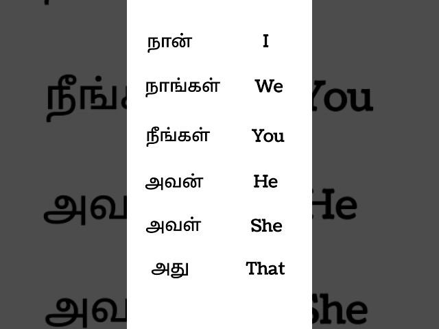 Tamil to English | Learn English Easily #english #tamil #vocabulary