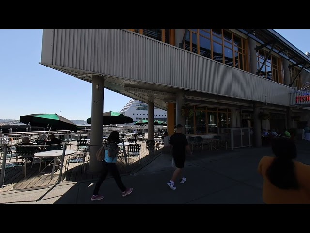 Seattle Waterfront Clip Series 3D VR 8k 180°  Ferries Pike Place Oculus Metaverse Virtual Realty