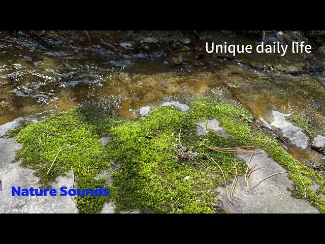 sound of stream water