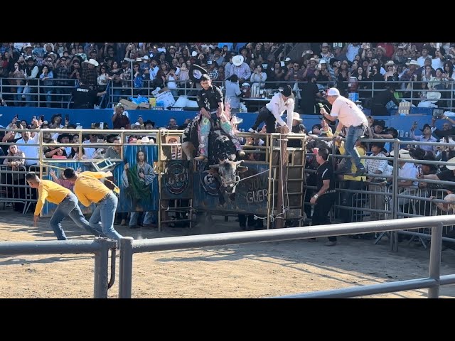 Espectacular jaripeo con los destructores en pico rivera -que reparos del amor salvaje !!