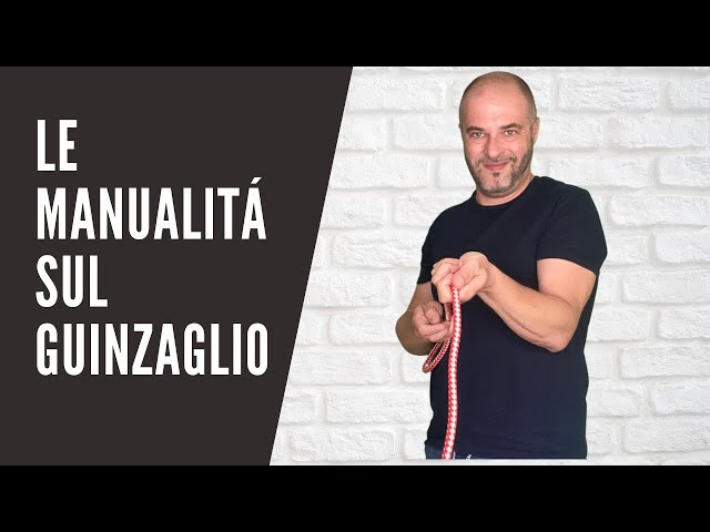 Le manualità corrette per 'uso del guinzaglio|Affinitydog