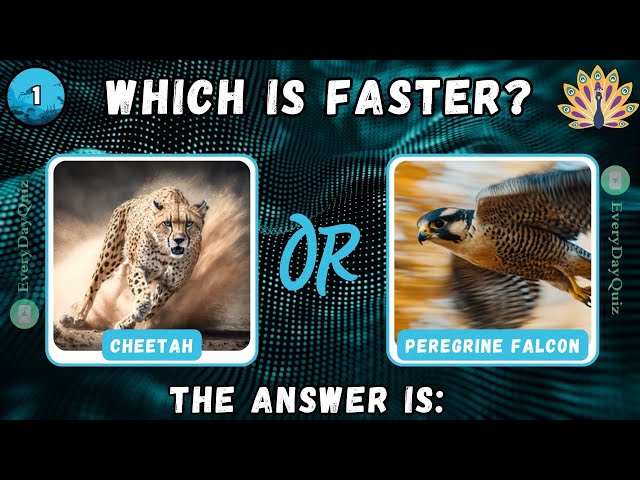 "Wildest Showdown: Which Animal Reigns Supreme? 🐾🤔 | Epic Animal Edition!"