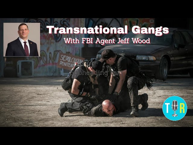 3 Things You Need To Know About Cartels and Transnational Gangs in the US - The Interview Room