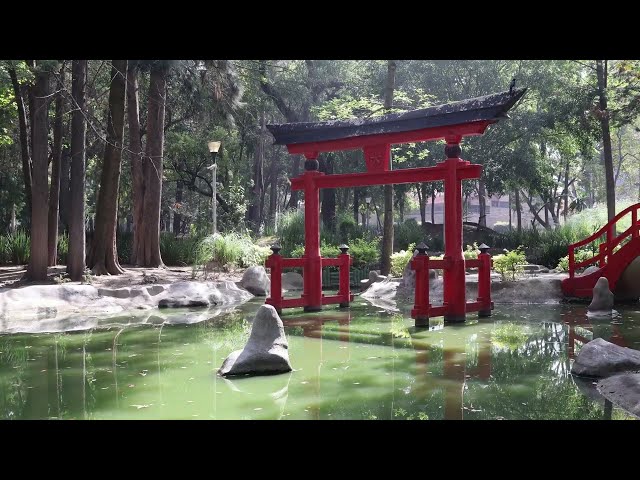 EP #7 Secret Garden Hidden in London Where Am I 2024 Kyoto Garden