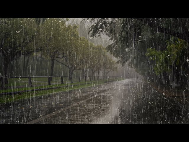 Sonido de Lluvia para Dormir Profundamente y Relajarse en 3 Minutos - Lluvia en el Selva Tropical