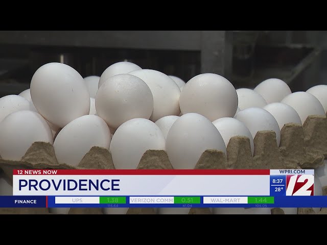 Providence bakery raises prices as cost of eggs increases