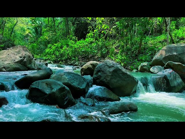 Mountain stream, river sound, nature sounds, water sounds, white noise, river sounds for sleeping