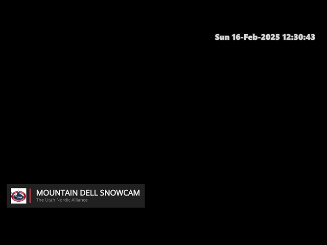 Mountain Dell Snow Cam Live Stream