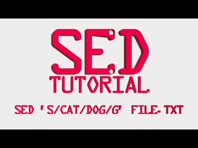 SED Whole Word Match with Boundaries Linux Shell Tutorial BASH