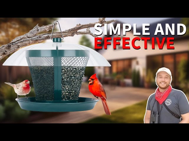 This Simple Bird Feeder is Shockingly Good! (Kingsyard Dual Feeder)