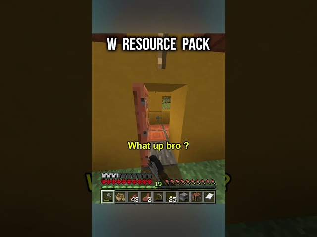 Resource Pack FTW !!! #shorts #minecraft