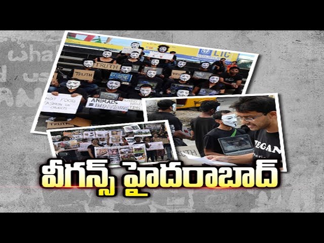 Hyderabad Vegans | Sakshi Special Story - Watch Exclusive