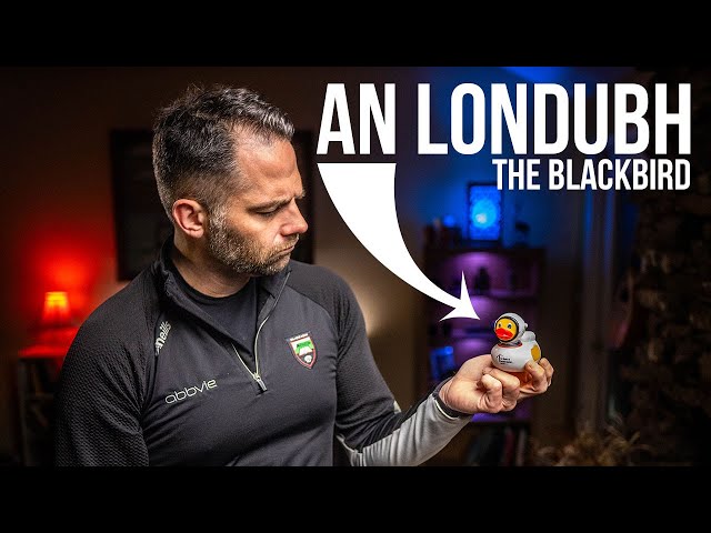 Londubh (The Blackbird) - Hornpipe - lesson on tin whistle and Irish flute