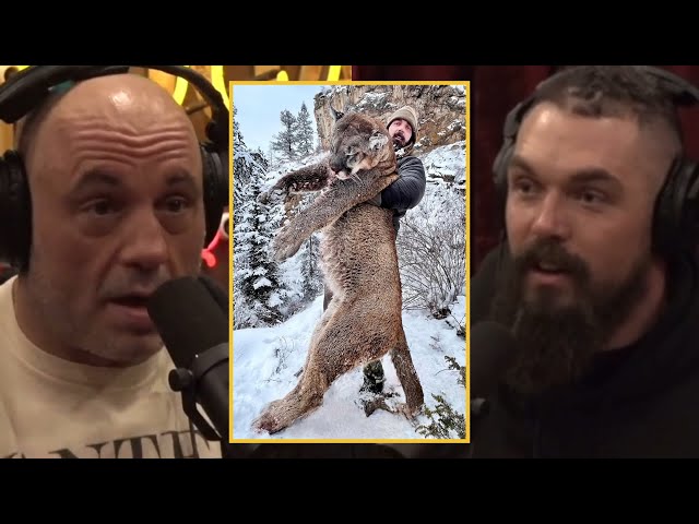 Joe Rogan: CRAZY LION Hunting Story! Former NFL Player Derek Wolfe Shares His Experience!