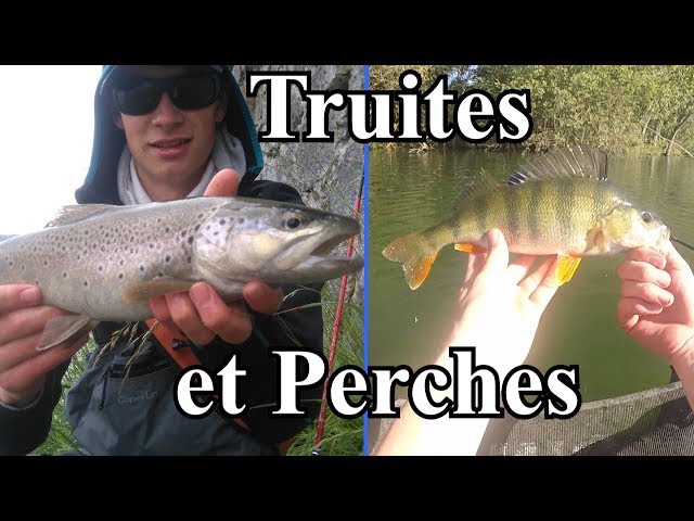 Perches en float tube et belles truites prendant une crue | Ariège