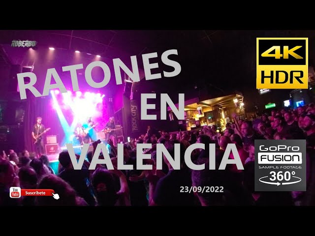 RATONES EN VALENCIA COMPLETO EN 360º (23.09.22)