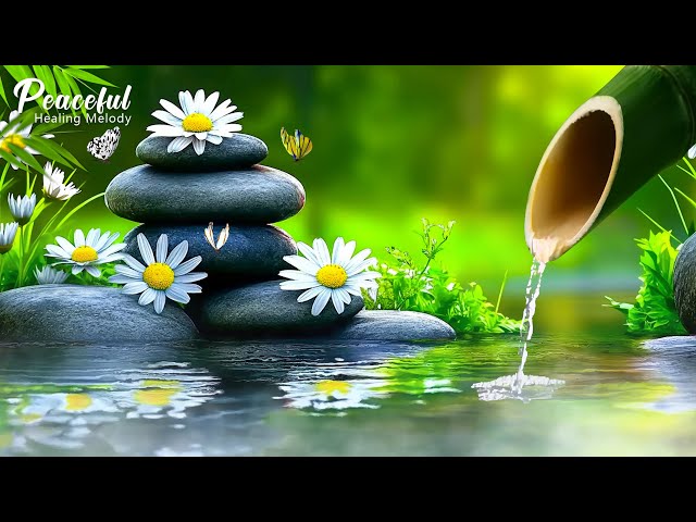 Relaxing Spa Music • Gentle Sounds of Water 🌿 Relieves Stress and Anxiety