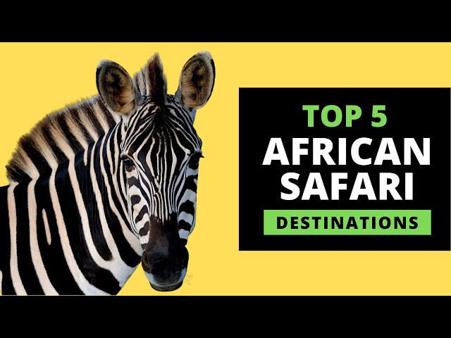 AFRICAN SAFARI DESTINATIONS - Top 5 Most Popular (with prices)