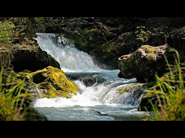 20 Minutes of Lake And  Fountain ASMR | Relaxing Water Sounds